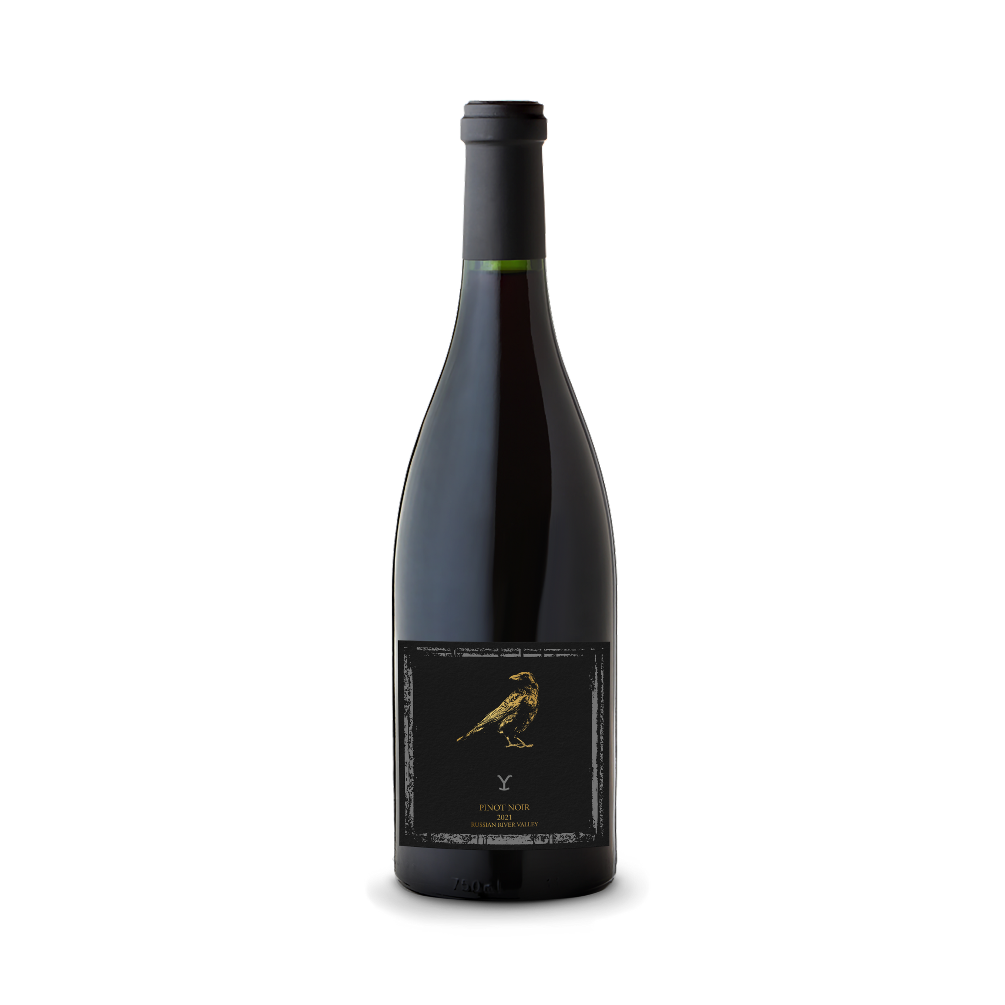 Buzzard's Eye Pinot Noir 2021 セット The Crow - 2021 Pinot Noir - Russian River Valley – WINE GIFT SHOP