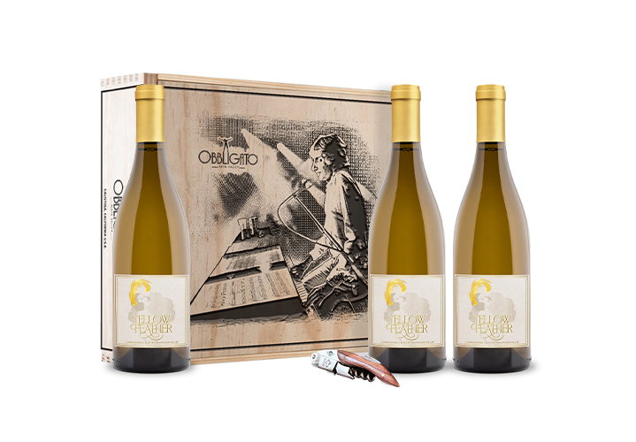Yellow Feather Gift Box Set