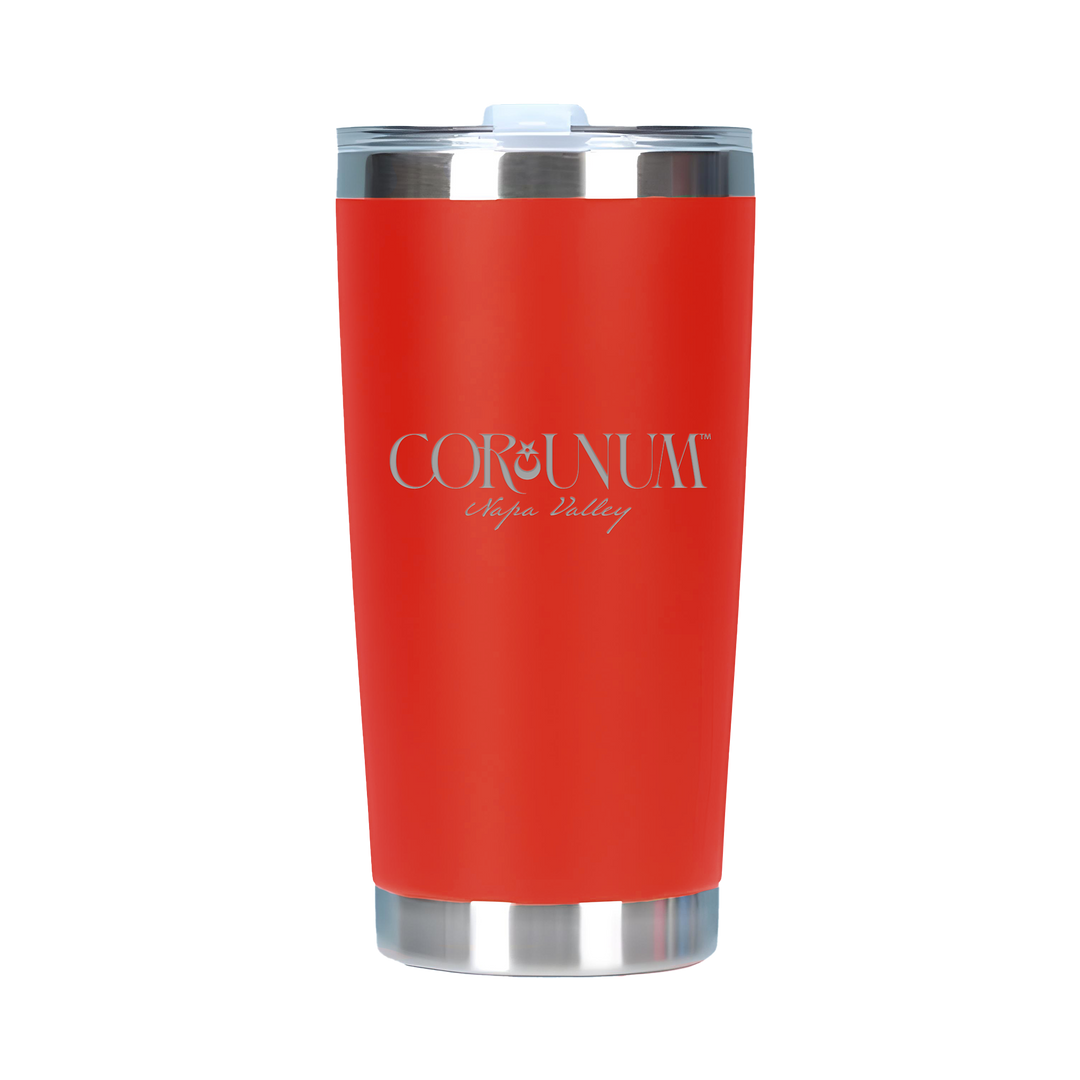 20oz Double Wall Stainless Steel Tall Tumbler with Lid