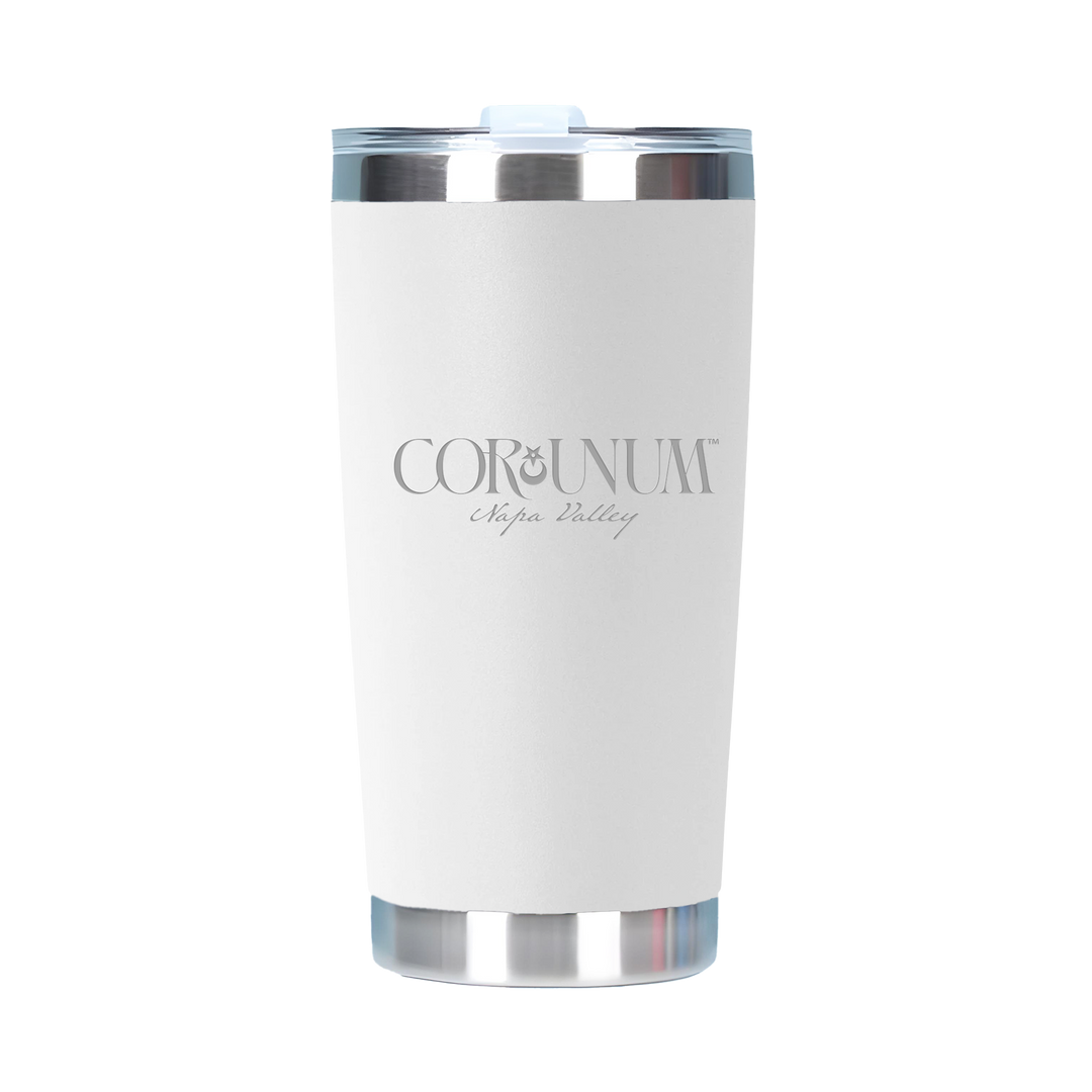 20oz Double Wall Stainless Steel Tall Tumbler with Lid