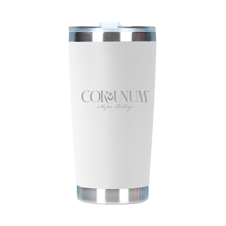20oz Double Wall Stainless Steel Tall Tumbler with Lid