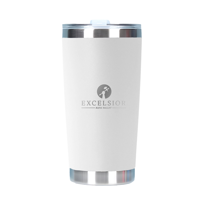 20oz Double Wall Stainless Steel Tall Tumbler with Lid