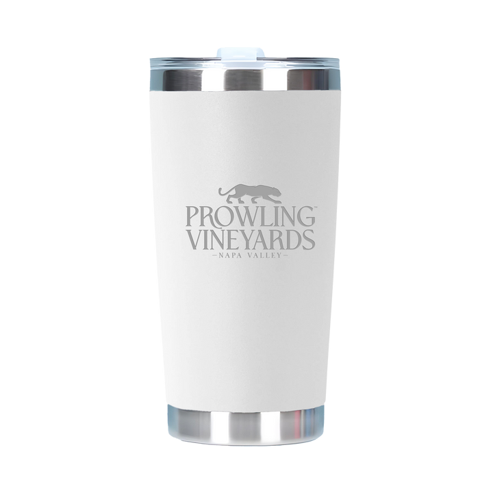 20oz Double Wall Stainless Steel Tall Tumbler with Lid