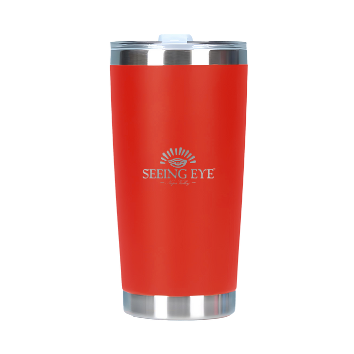 20oz Double Wall Stainless Steel Tall Tumbler with Lid