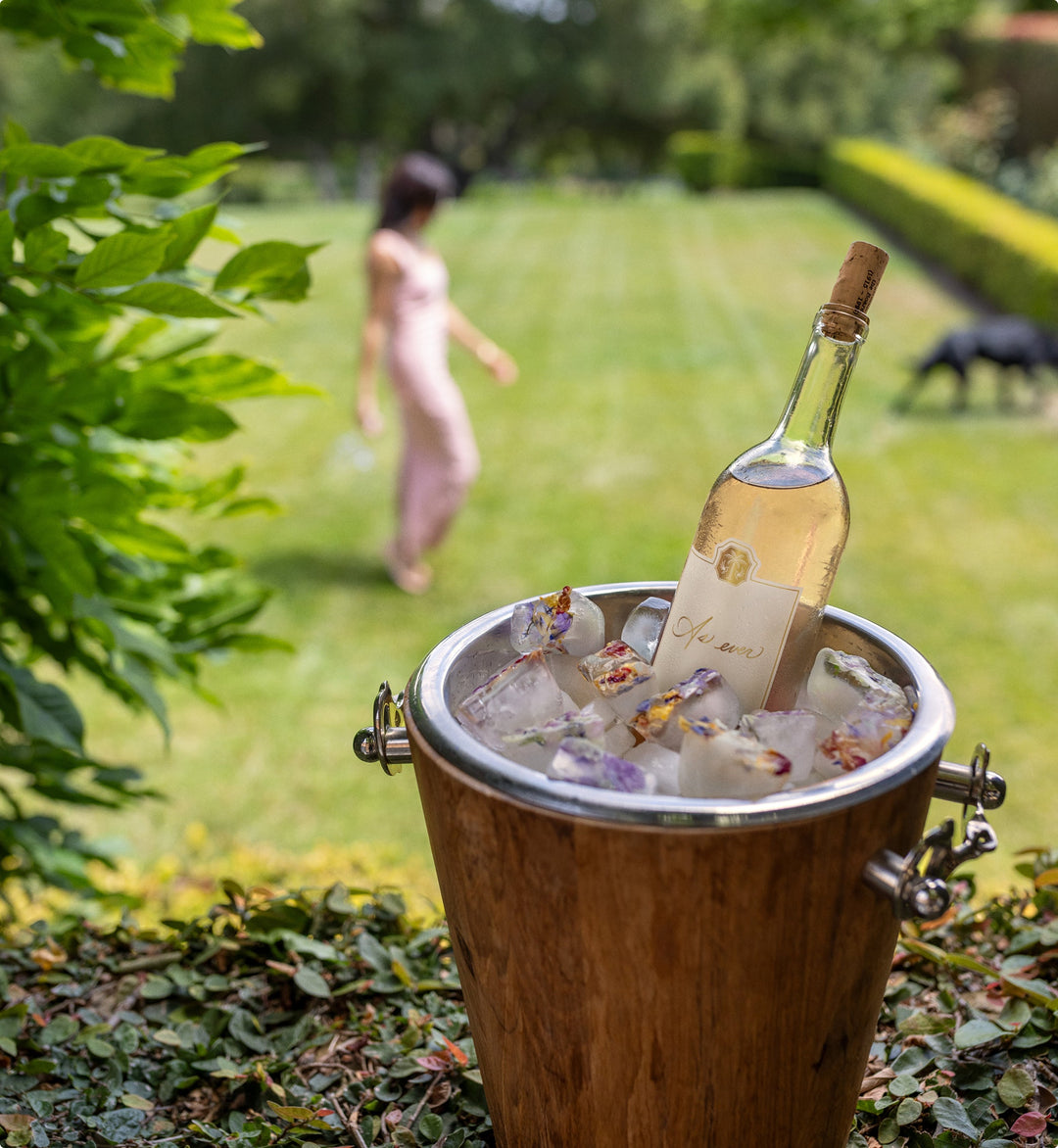 Bottle of As ever Rosé wine in an ice bucket, set outdoors with a woman and dog in the background