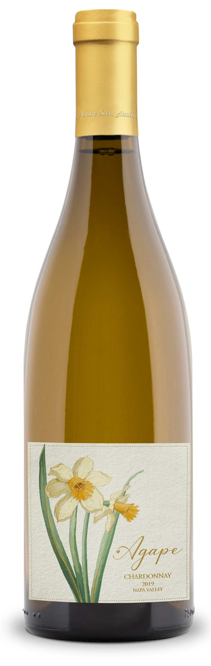 Agape - 2019 Chardonnay - Napa Valley