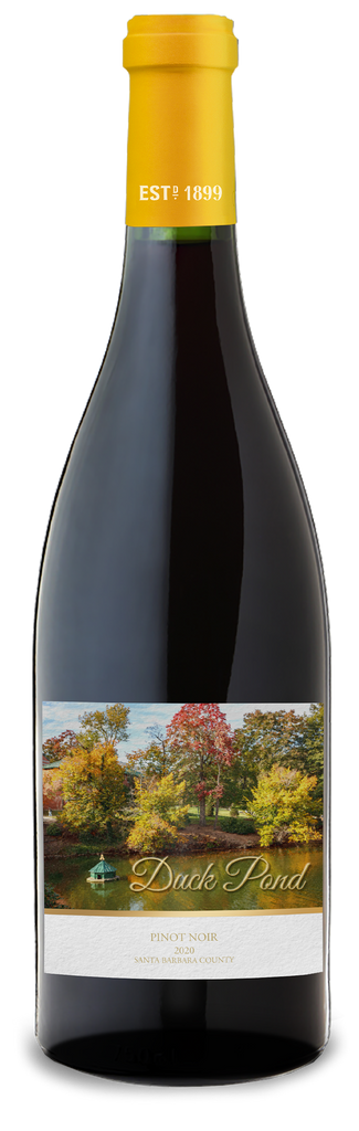 Pinot Noir With Duck Duck Pond 2020 Pinot Noir Santa Barbara