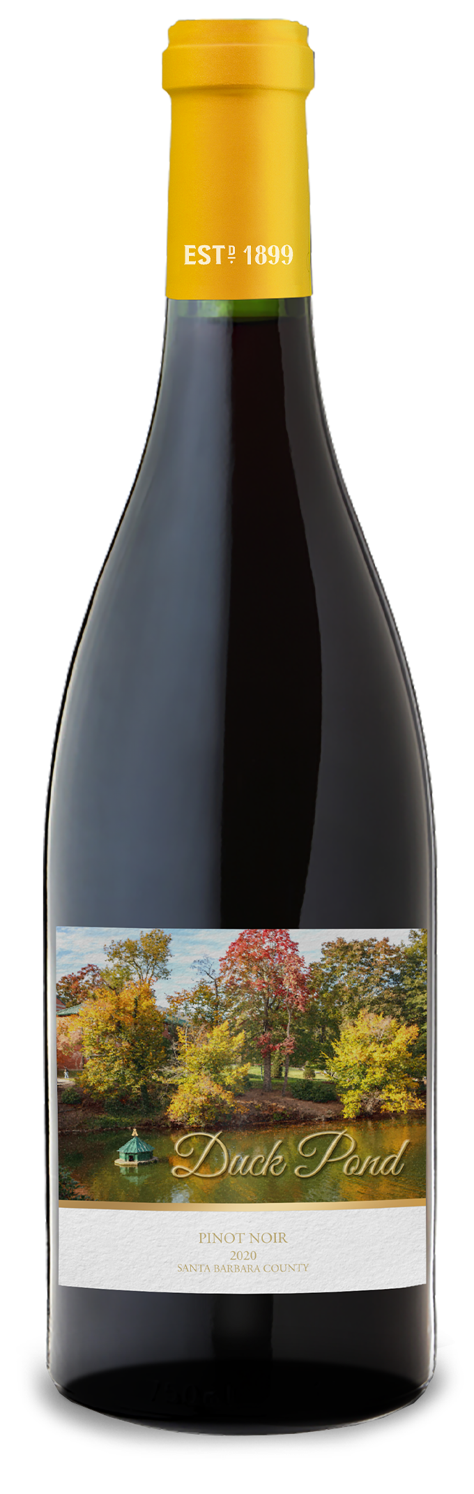 Duck Pond - 2020 Pinot Noir - Santa Barbara County