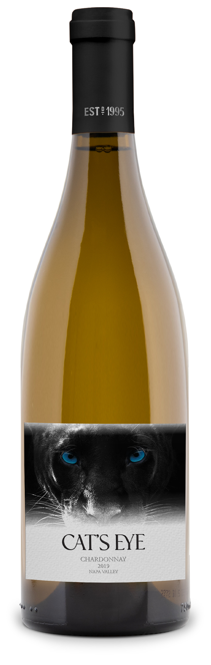 Cat’s Eye - 2019 Chardonnay - Napa Valley