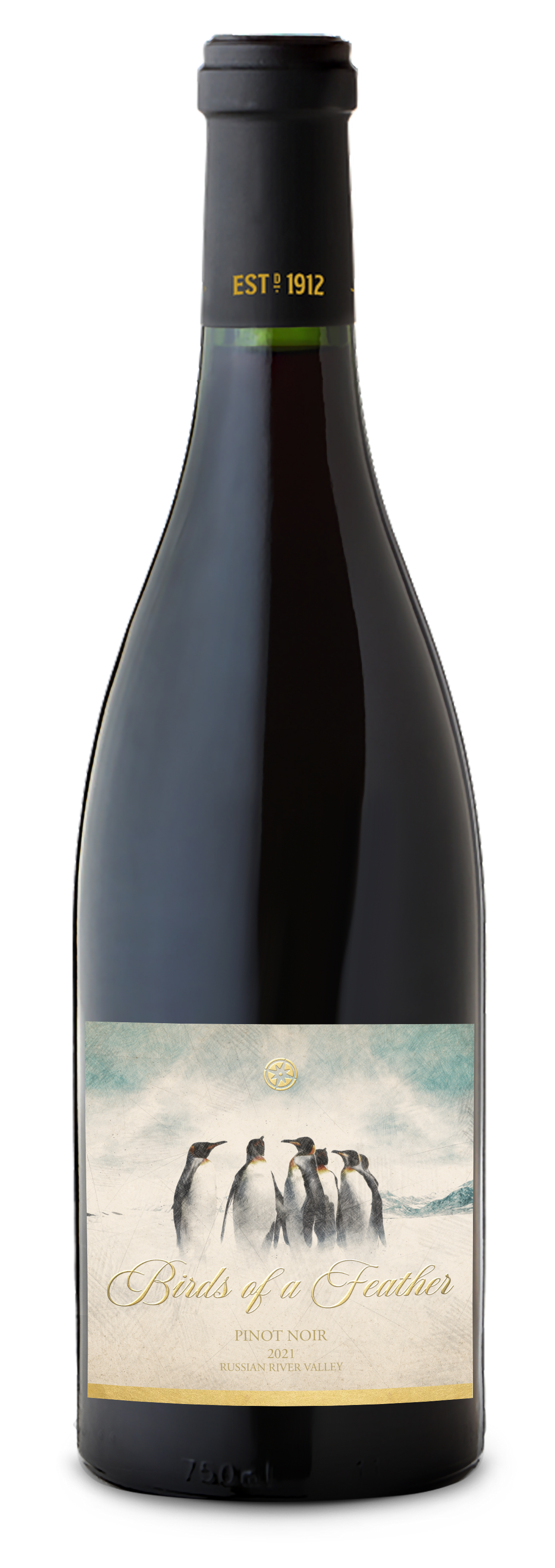 Birds of a Feather - 2021 Pinot Noir - Russian River Valley